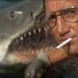 Jaws