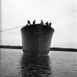 Launch of Seiner’s sister ship, Harvard, circa 1925. Courtesy of Boothbay Region Historical Society
