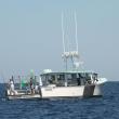 STEVE EDWARDS/Boothbay Register