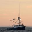 STEVE EDWARDS/Boothbay Register