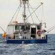 STEVE EDWARDS/Boothbay Register