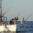 STEVE EDWARDS/Boothbay Register