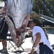 Jax van der Veen, chair of the tuna challenge committee, helps clean out a fish before weighing. File photo.
