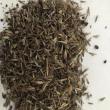 Butterfly and hummingbird garden seed mix. Courtesy photo