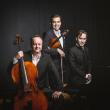 The Phaeton Trio. Nov. 7. Opera House at Boothbay Harbor. Got tickets? Courtesy of Cathy Sherrill