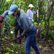 Coastal Rivers’ “Trail Tamers” volunteers use loppers to trim a trail at Salt Bay Farm Preserve. Photo by Kris Christine