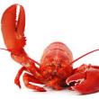 Bake Stuffed Lobster Friday & Saturday Night at Brady's!!