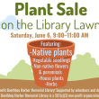 Plant sale June 6 at the Boothbay Harbor Memorial Library. Courtesy photo