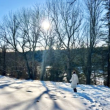 Autumn View Preserve in winter. Photo by Jayne Gordon, Coastal Senior College
