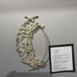 LISA KRISTOFF/Boothbay Register