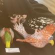 LISA KRISTOFF/Boothbay Register