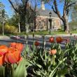 Don't Miss the Display of Color in the center of Camden
