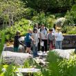    A group enjoying Maine Days in 2025. Image courtesy of Coastal Maine Botanical Gardens.