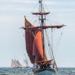 The 64th Boothbay Harbor Windjammer Days sails in Sunday, June 21 through Saturday, June 27. Don't miss it! Courtesy of Friends of Windjammer Days