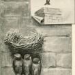 Chimney swifts glue together tiny twigs with their own saliva to make their nests, usually, today, in brick chimneys although originally in hollow trees. Illustration by Canadian naturalist and artist Ernest Thompson Seton (for a time he used Ernest Seton Thompson as he did when he signed this illustration) from the 1898 book by Florence Merrian Baily, "Birds of village and field: a bird book for beginners." Image courtesy of WIkimedia Commons.
