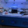 exhibit ecosystem 