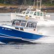 A moment during the 2025 Boothbay Harbor races captured by Michael Leonard.