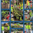 Gals with Trowel Dig in the Dirt to Transform the Traffic Island