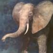 Mary Jo Rines. "The Elephant."