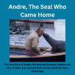 Andre the Seal poster