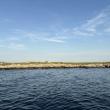 The low-lying island of Eastern Egg Rock, where, thanks to the efforts of Dr. Steve Kress and National Audubon's Seabird Institute, Atlantic puffins now once again breed in abundance, along with a cacophony of terns. Photo courtesy of Jeff Wells.