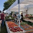 The display of vegetables and more at Goranson Farm's tent at the Boothbay Farmers' Market. EMMA BENVENUTO/Boothbay Register
