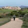 A stunning view from the Camino. Barbara Lloyd photo 