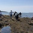 Exploring on Burnt Island. Courtesy photo