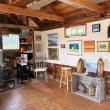 June’s Gallery