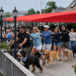 Waterfront dining
