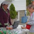 SFD AUCTION