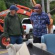 SFD AUCTION