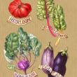 "Farmers Market Veggies" by Mindy Lighthipe. Courtesy of Katie Hey, CMBG