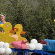 Kiddie Pool and Ducks. Courtesy of Anna Lyon
