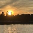 Sunlight through the trees. KEVIN BURNHAM/Boothbay Register