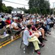 SFD AUCTION
