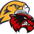 BRHS-WMHS logo