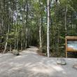 Designed to welcome visitors of all abilities, the new packed stone-dust trail at Keyes Woods Preserve offers a gently graded loop through the woods. Courtesy of Coastal Rivers