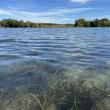 Beds of eelgrass wave gently in the current in Great Salt Bay. This humble plant plays an outsized role in storing carbon, reducing storm surge, and creating nursery habitat for fish and shellfish. Courtesy of Coastal Rivers