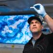 A life and science of adaptation
