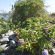  LISA KRISTOFF/Boothbay Register