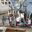 STEVE EDWARDS/Boothbay Register