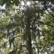  LISA KRISTOFF/Boothbay Register