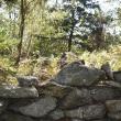 LISA KRISTOFF/Boothbay Register