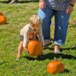 Harvesting Memories: BRVM Harvest Day 2026