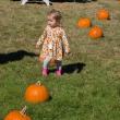 Harvesting Memories: BRVM Harvest Day 2026