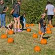 Harvesting Memories: BRVM Harvest Day 2026