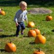 Harvesting Memories: BRVM Harvest Day 2026