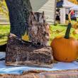 Harvesting Memories: BRVM Harvest Day 2026