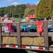 Harvesting Memories: BRVM Harvest Day 2026